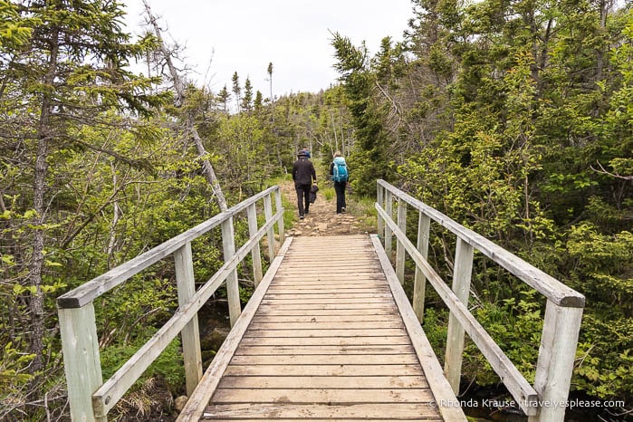 Hikers at the end of a short wooden bridge. 