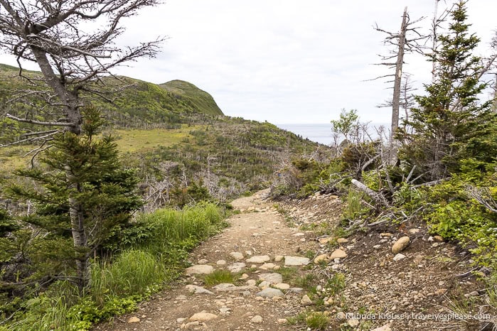 Trail leading toward hills and the sea.