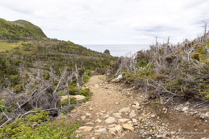 Trail leading toward hills and the sea.