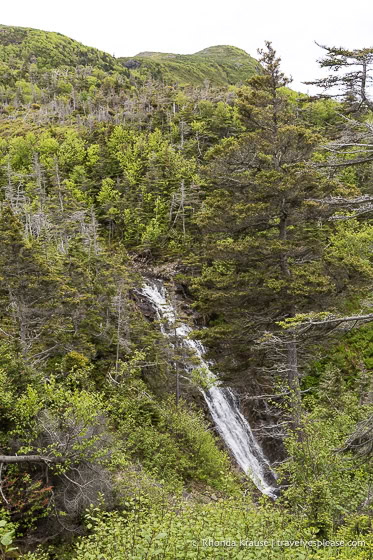 Waterfall in the forest.