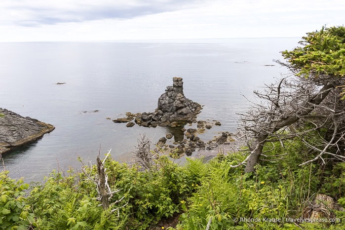 Sea stack by the shore.