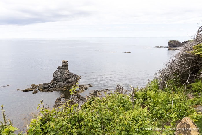 Sea stack by the shore.