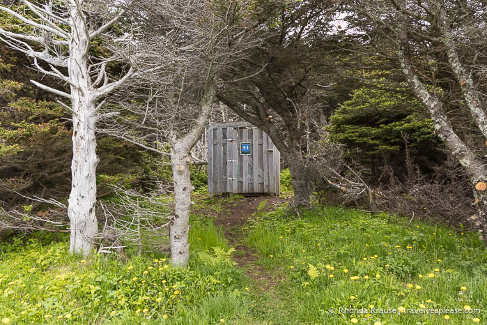 Outhouse in the forest.