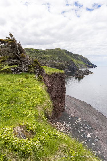 Clifftop meadow above a beach.