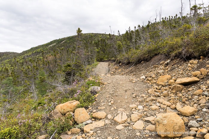 Rocky trail with hills in the background.