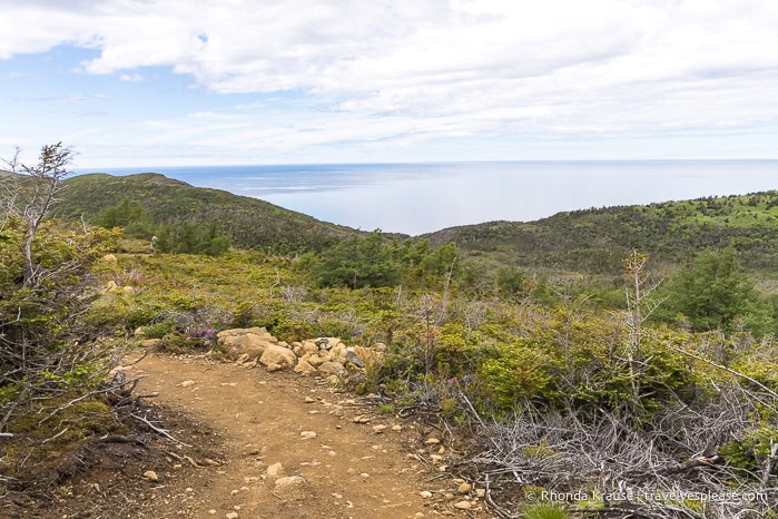 Green Gardens Trail with the Gulf of St. Lawrence in the background.