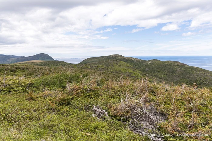 Green hills with the gulf in the background.