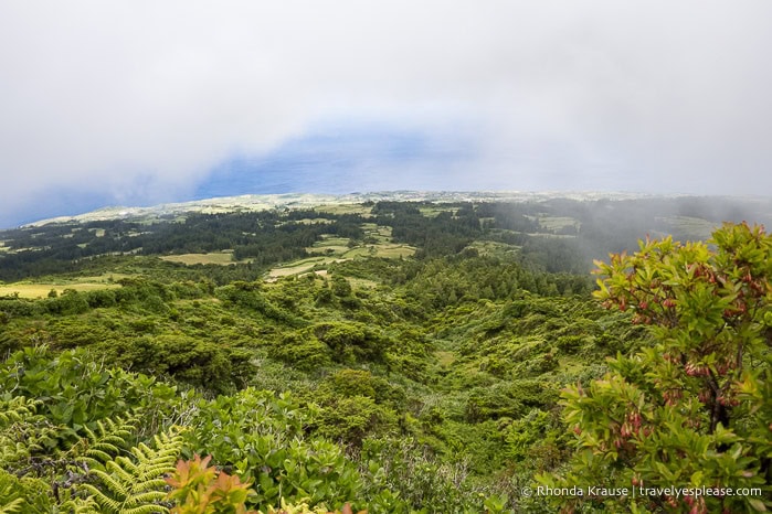The lush landscape of Faial Island on a cloudy day. 