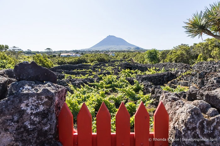 A red gate with rock walls and Mt. Pico in the background. 