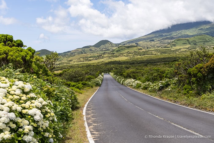 Road leading towards hills on Pico Island.