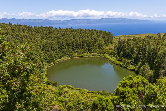 Lake surrounded by forest with the ocean in the background. 