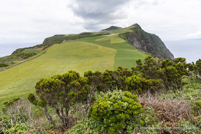 Green fields on a cliff top.