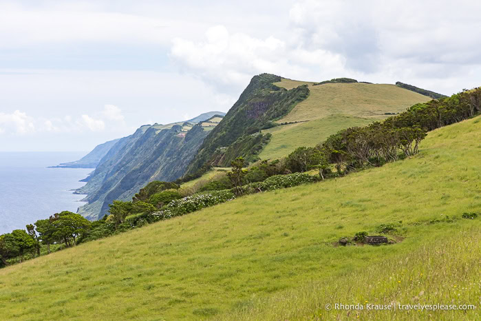 Green fields and steep cliffs along the coast of Sao Jorge Island. 