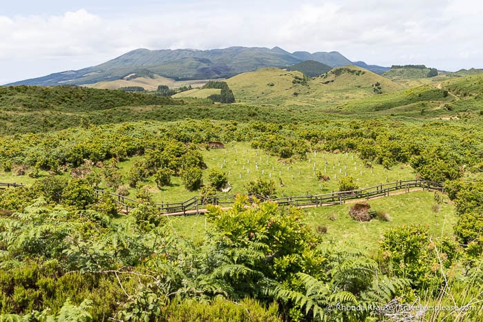 Hilly, green landscape of Terceira Island.