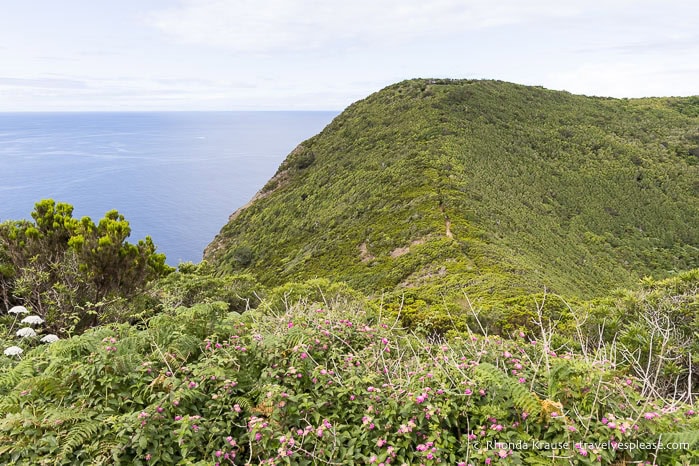Monte Brasil and the ocean. 