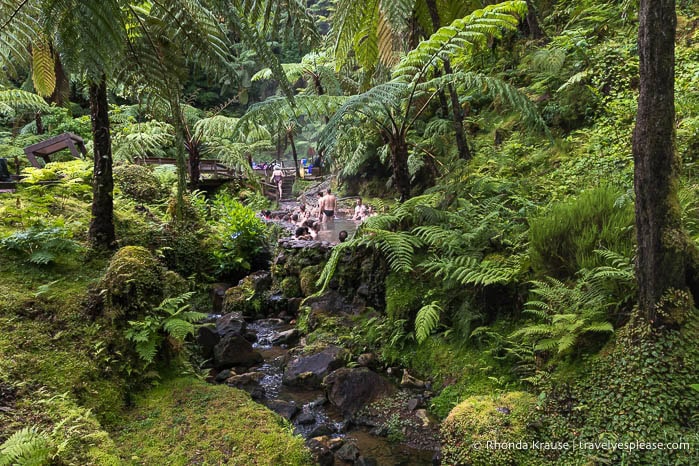 The Caldeira Velha thermal pools in a tropical forest. 