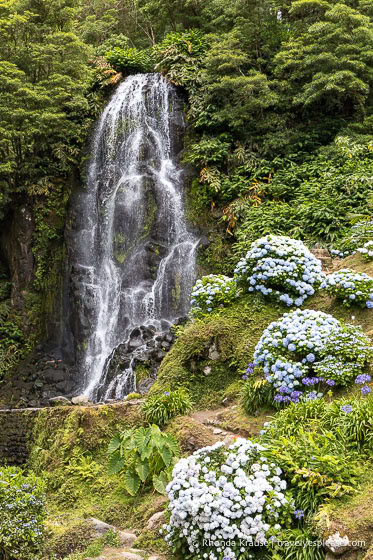 A waterfall and hydrangeas, two common sights on an Azores trip. 
