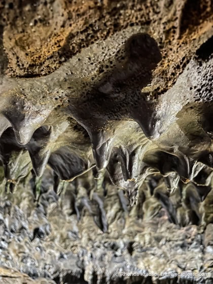 Stalactites inside Carvão Cave.