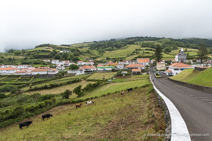 Town backed by hills on Flores Island. 