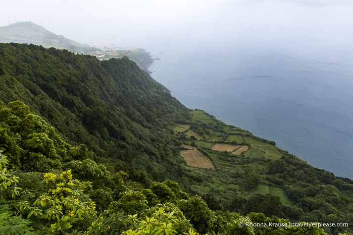 A faja at the base of a cliff on a foggy day.