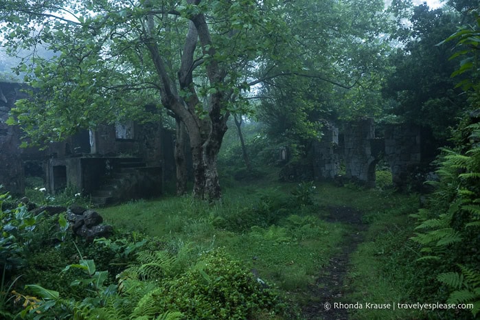 Abandoned buildings in a foggy forest. 