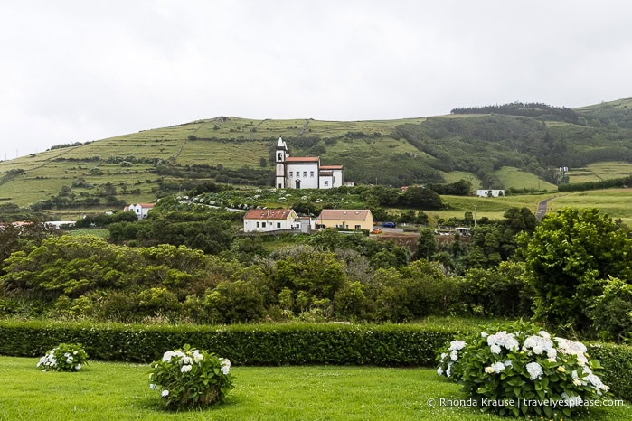 Hydrangeas with a church and green hills in the background. 