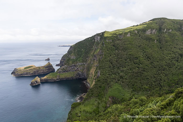 Green sea cliffs and rock formations along the coast of Flores Island. 