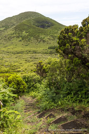 Staircase and volcanic cone on the Cabeco do Canto trail. 